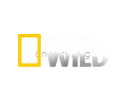 Архив канала Nat Geo Wild